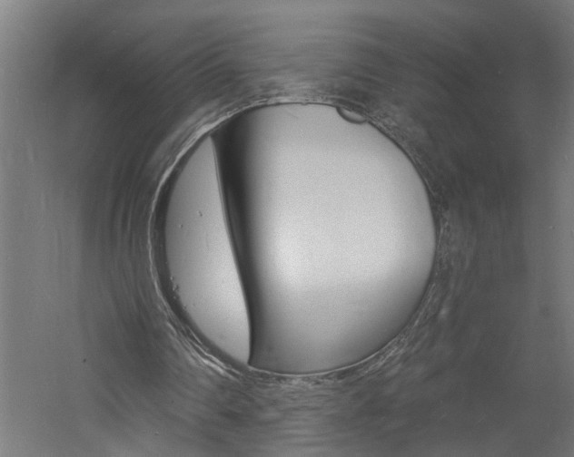 X0000060740290200511100919