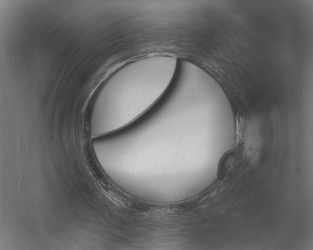 X0000060740291200511100919