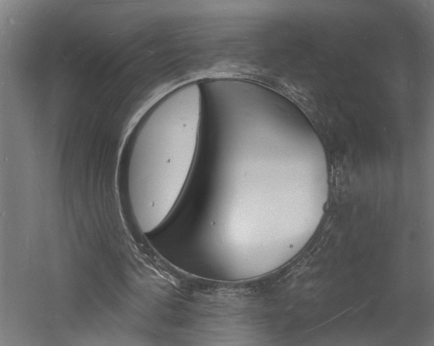 X0000060740292200511100919