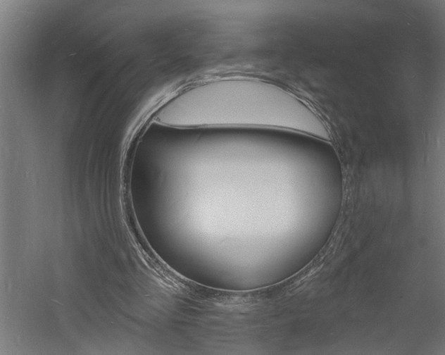 X0000060740293200511100919