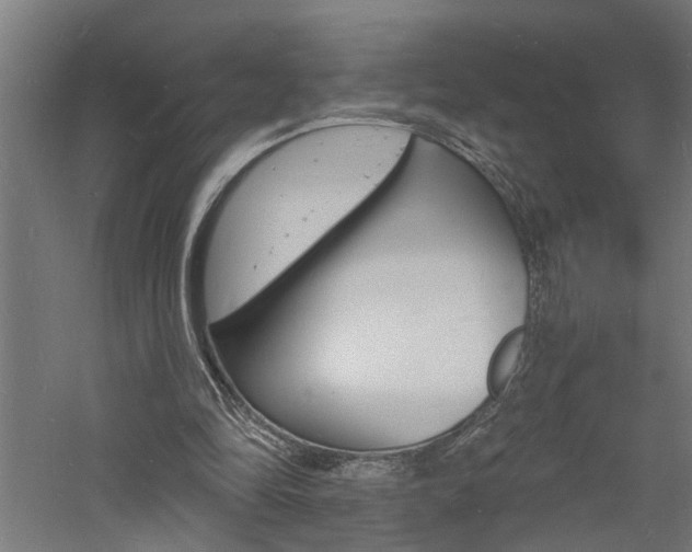 X0000060740294200511100919