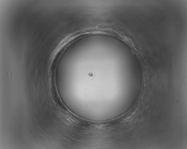 X0000060740295200511100919