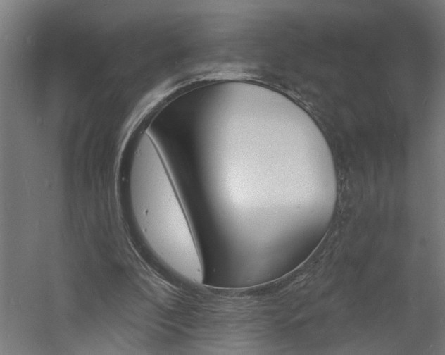 X0000060740296200511100919