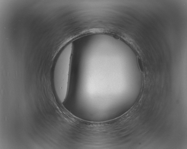 X0000060740297200511100919