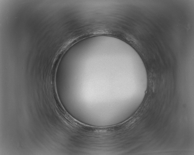 X0000060740298200511100919