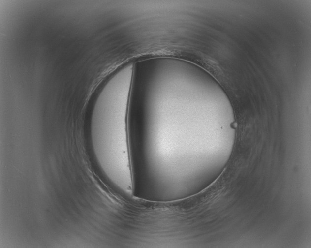 X0000060740299200511100919