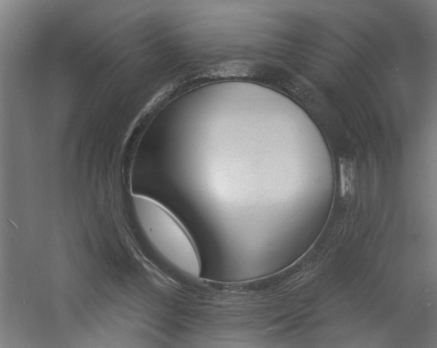 X0000060740300200511100919