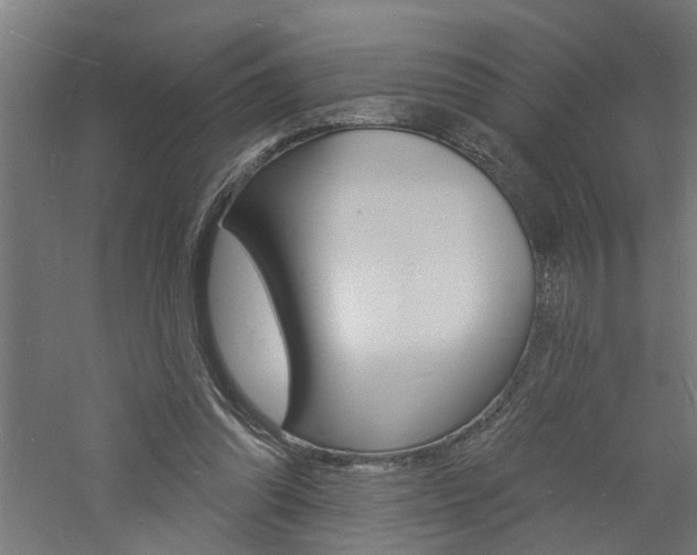 X0000060740302200511100919