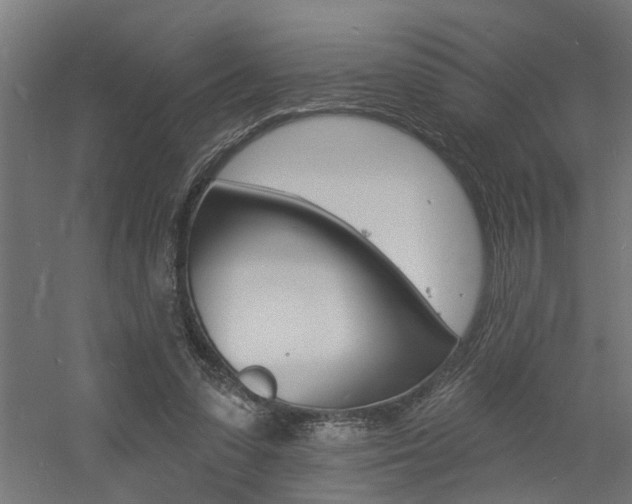 X0000060740303200511100919