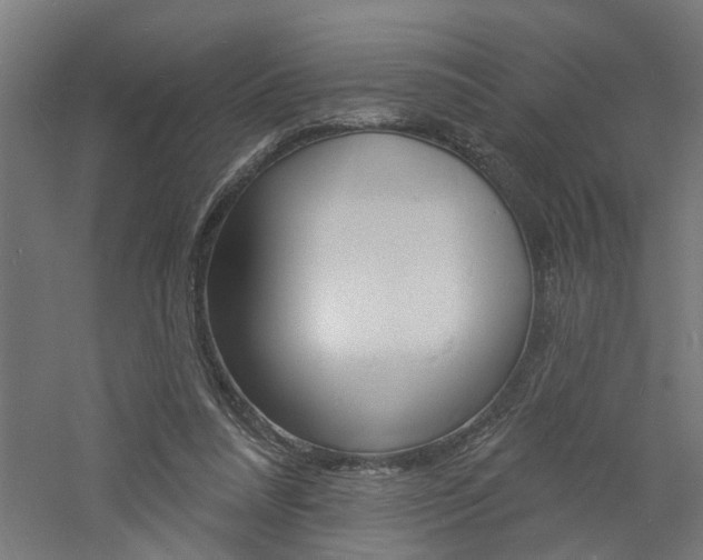 X0000060740304200511100919