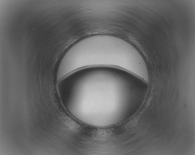 X0000060740305200511100919