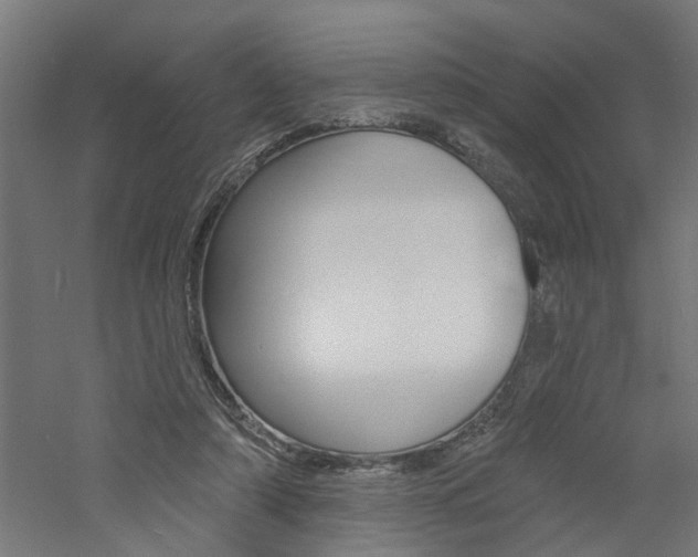 X0000060740306200511100919