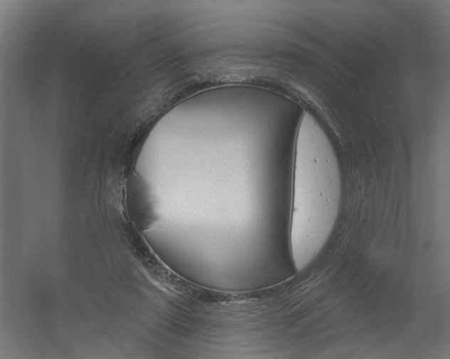 X0000060740307200511100919