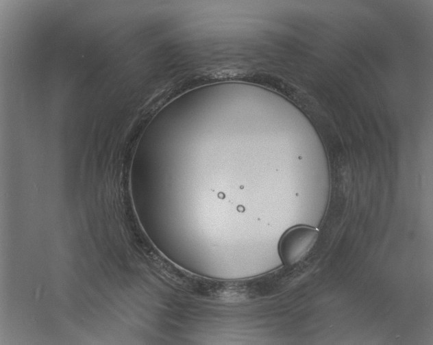 X0000060740308200511100919