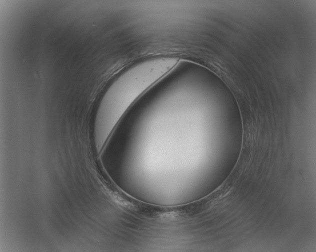 X0000060740309200511100918