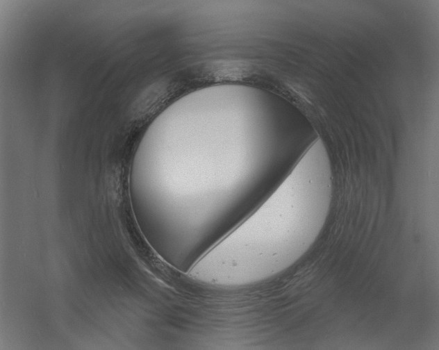 X0000060740311200511100918