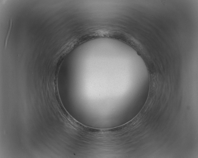 X0000060740313200511100918