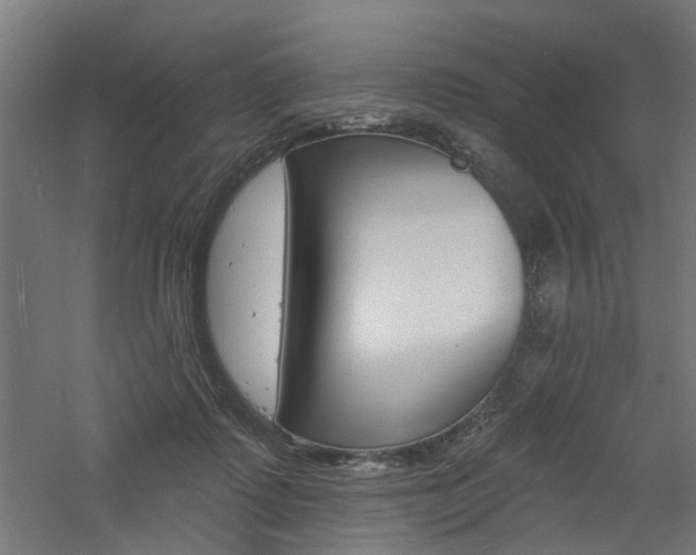 X0000060740315200511100918