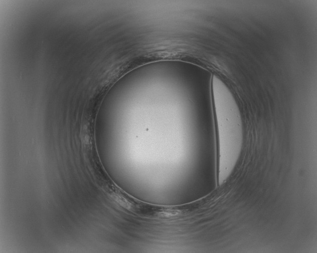 X0000060740317200511100918