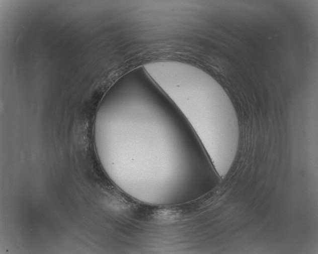 X0000060740319200511100918