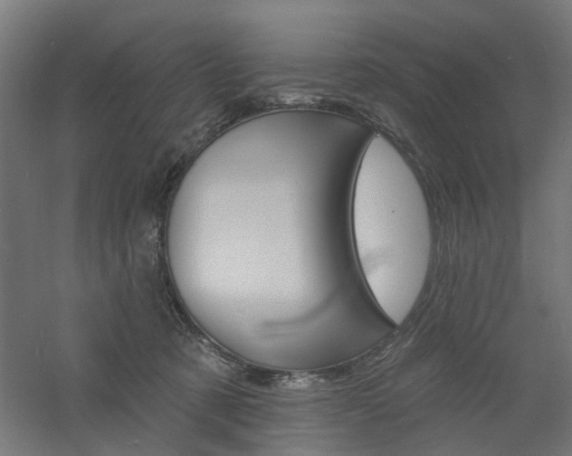 X0000060740321200511100918