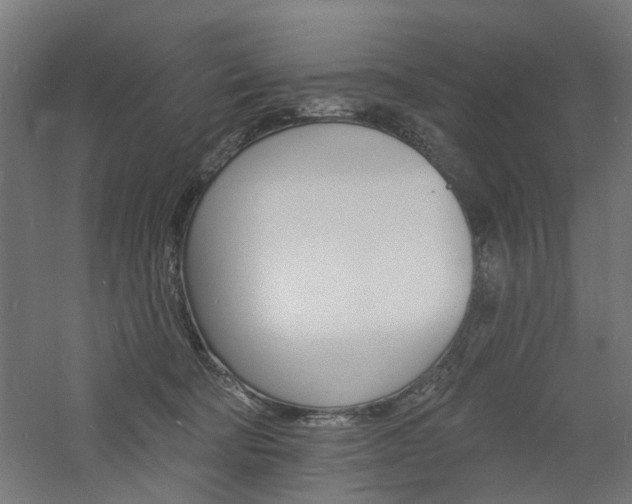 X0000060740322200511100918