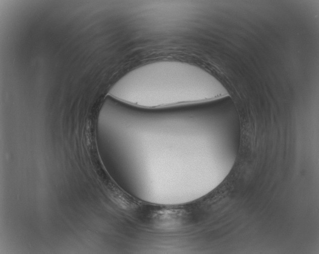 X0000060740323200511100918