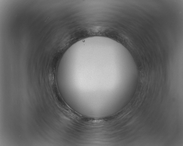 X0000060740324200511100918