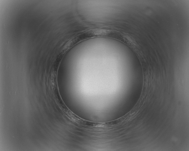 X0000060740325200511100918