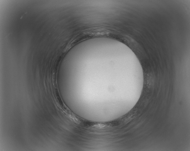 X0000060740326200511100918