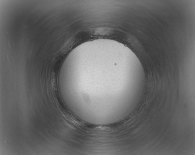 X0000060740328200511100918