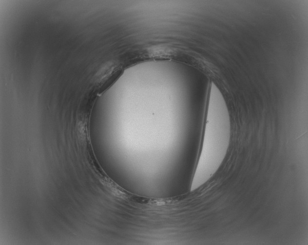 X0000060740329200511100918