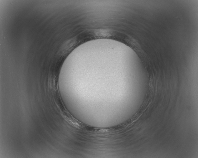 X0000060740330200511100918