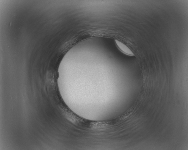 X0000060740331200511100918