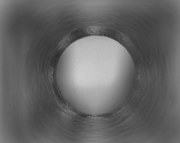 X0000060740332200511100918