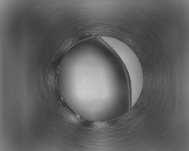 X0000060740333200511100918