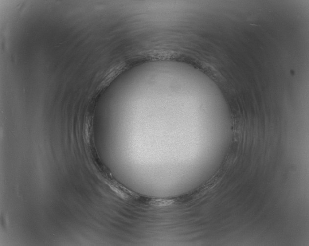 X0000060740334200511100918