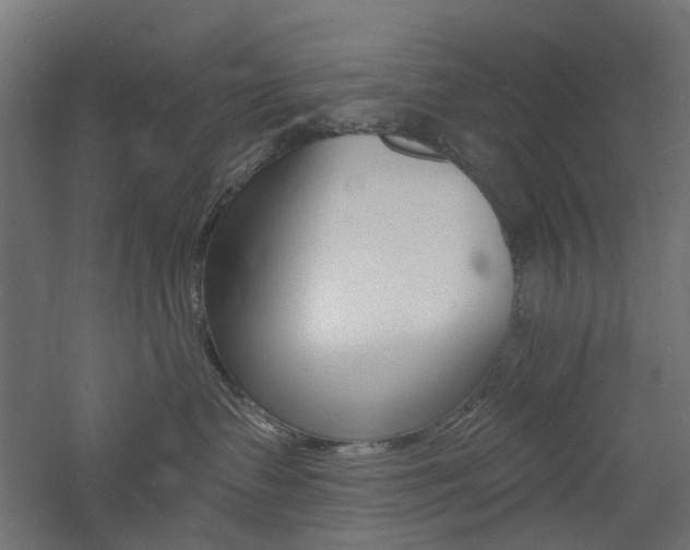 X0000060740335200511100918