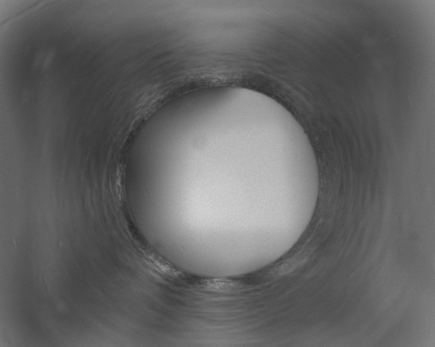 X0000060740336200511100918