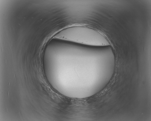 X0000060740337200511100917