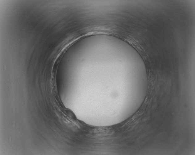 X0000060740338200511100917