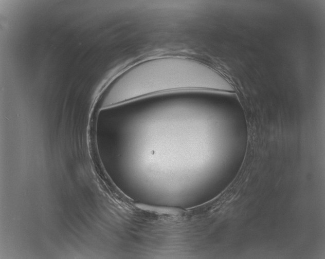 X0000060740340200511100917