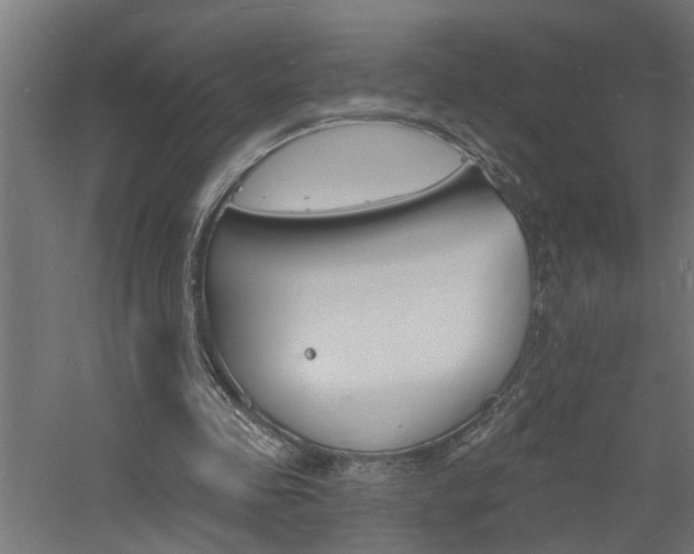 X0000060740341200511100917