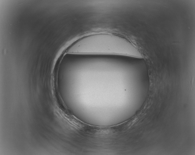 X0000060740342200511100917