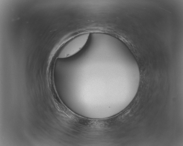 X0000060740343200511100917