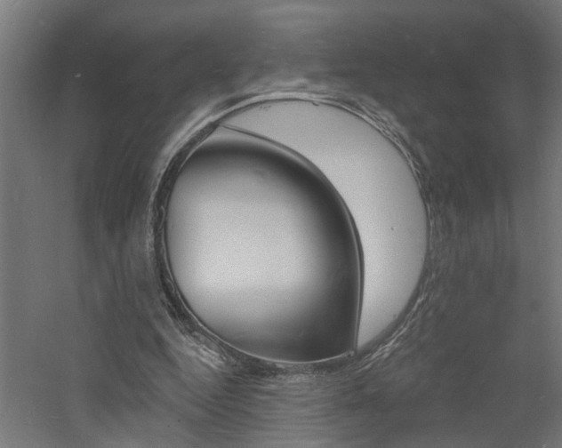 X0000060740344200511100917