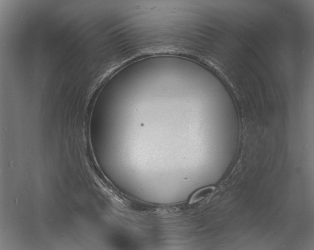 X0000060740345200511100917