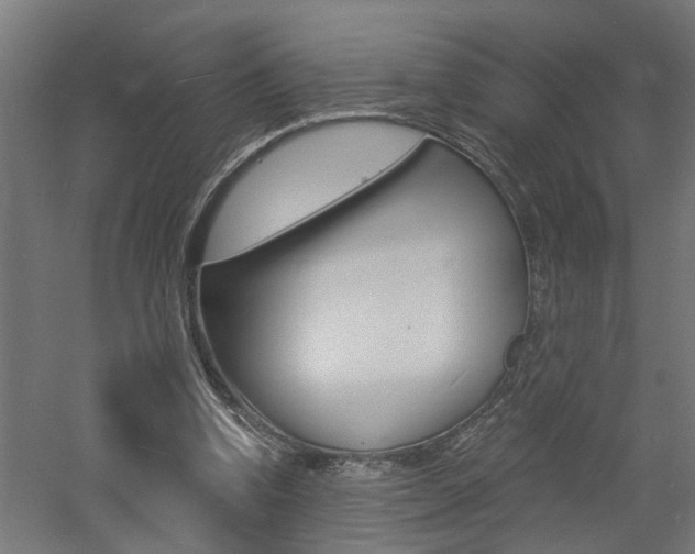 X0000060740346200511100917