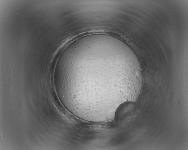 X0000060740347200511100917