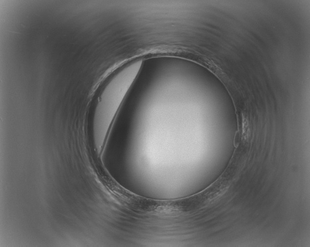 X0000060740348200511100917